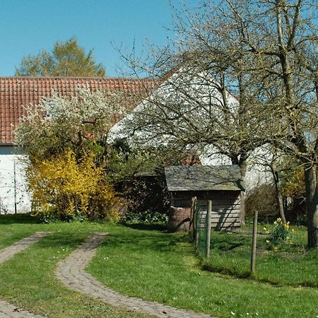 in Den Akker Villa Oudenaarde Eksteriør bilde